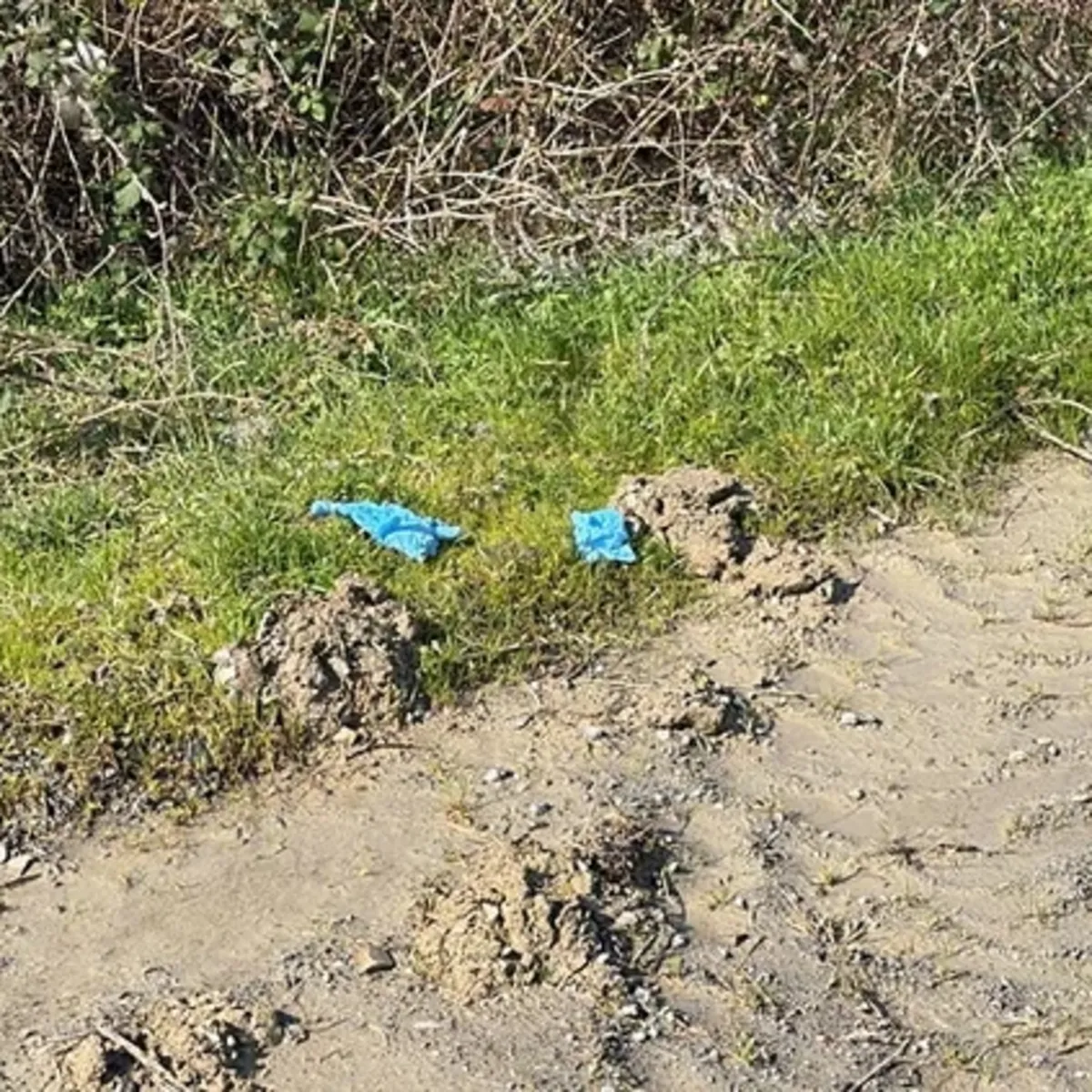 İstanbul’da kan donduran infaz: Çinli iş insanını önce öldürüp sonra gömmüşler