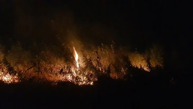 Gece başladı! Edremit’te sazlık alanda yangın!