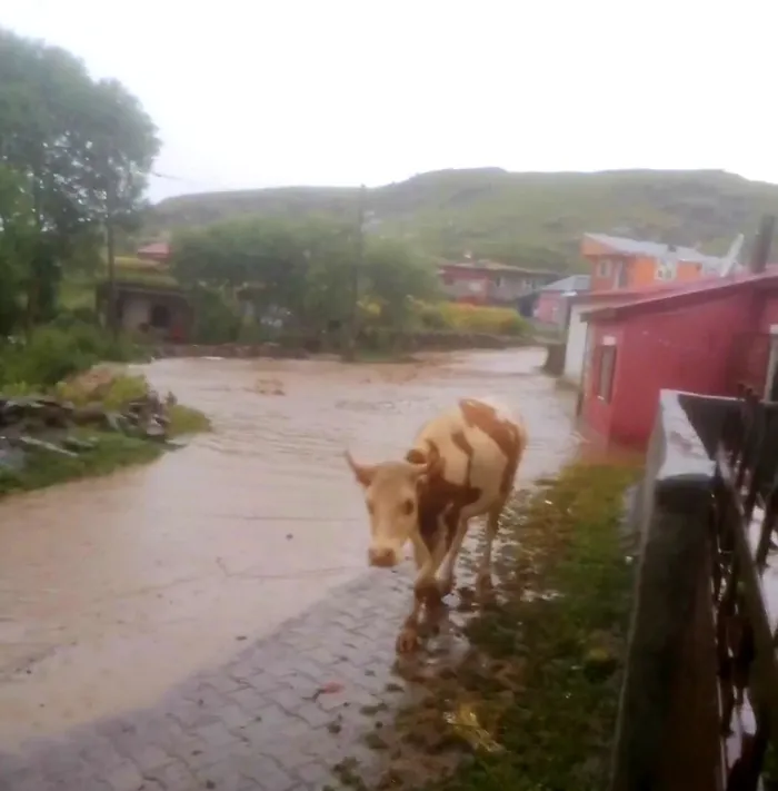 Son dakika: Ardahan'da sel felaketi! Evleri su bastı - 2