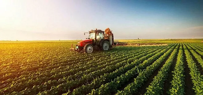 Ucuz gıda için dev üretim hamlesi! Tüm kurumlar harekete geçti