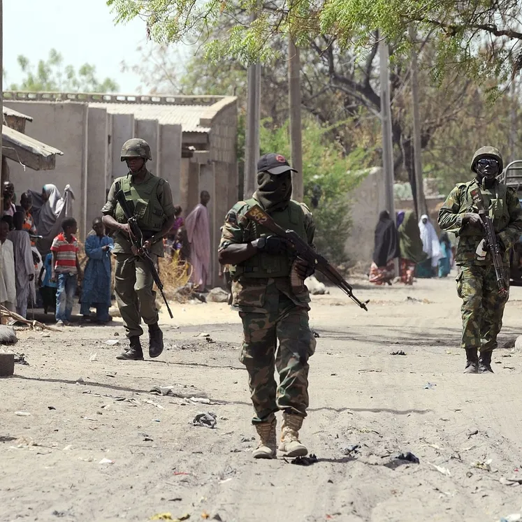 Nijerya'da 32 Boko Haram üyesi öldürüldü