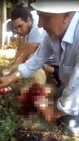 Son dakika! Türkiye cesedi bulunan tıp öğrenci Onur Alp Eker’e ağlamıştı! Boğazları düğümleyen ses kaydı