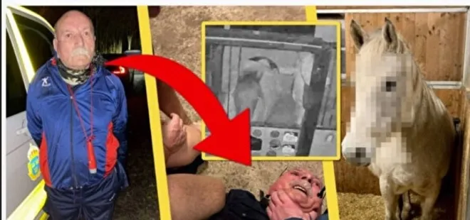 İsveç bu skandalı konuşuyor! Terör örgütü PKK’nın sözde Avrupa sorumlusu Senanik Öner ata tecavüz etti | 30 yıl hapsi isteniyor