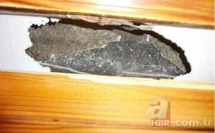 Rusya’dan göktaşı uyarısı! Tarih verdiler: Dünyaya yaklaşıyor! Uydulardan bile daha yakından geçecek 8