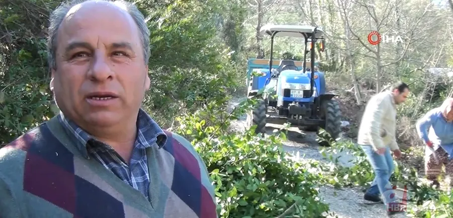 Kendiliğinden yetişiyor 100 aileye gelir kaynağı! Amerika ve Avrupa ülkelerine gönderiliyor 5