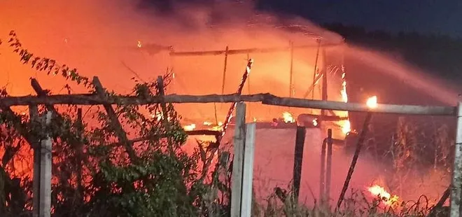 Bursa'da bağ evi küle döndü