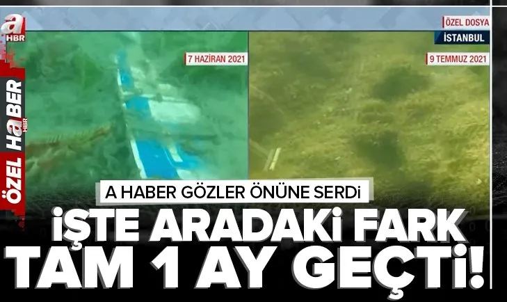 A Haber muhabiri temizlenen denize dalış yaptı! Fark gözler önüne serildi