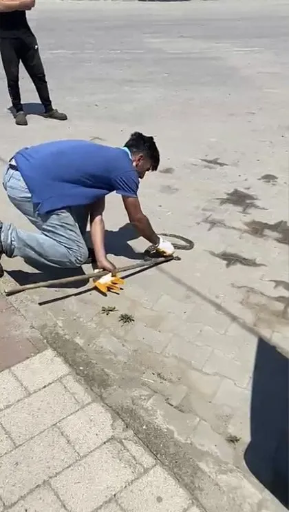 Satılık otomobilden çıkan şoke etti!
