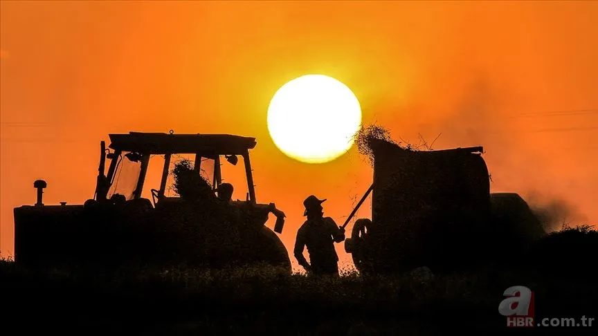 Mazot ve Gübre Desteği yattı mı, ne zaman yatacak? Tarımsal destek ödemeleri ÇKS ekranı... 2