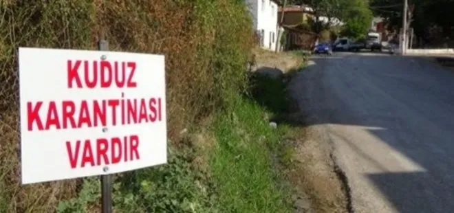 Kuduz tehlikesine dikkat! Şanlıurfa’da 1 mahalle daha karantinada