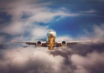 Pilot bayıldı! Uçağı yolcu indirdi