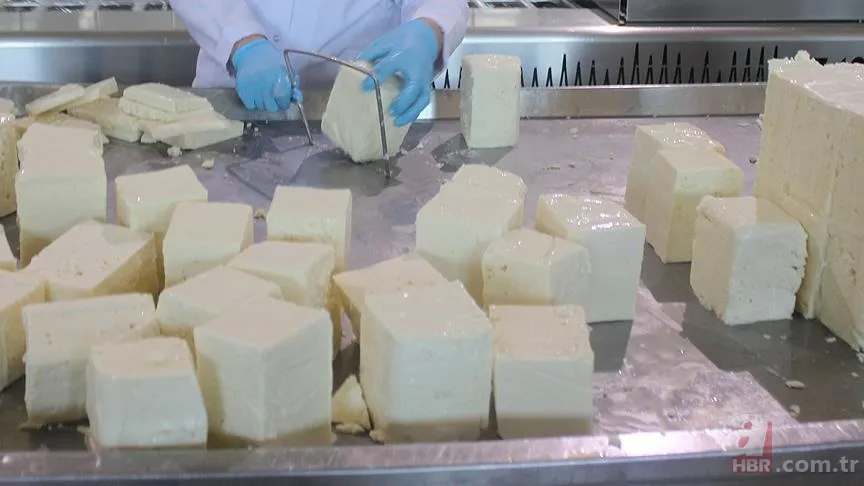 Zihni genç tutmanın sırrı ondaymış! Kahvaltıların baş tacı: Bir dilim bile yetiyor 4