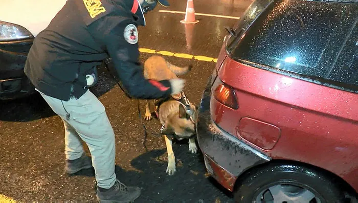 İstanbul’da adeta kuş uçurtulmadı! Polis ekiplerinden ‘Yeditepe Huzur’ uygulaması - 1