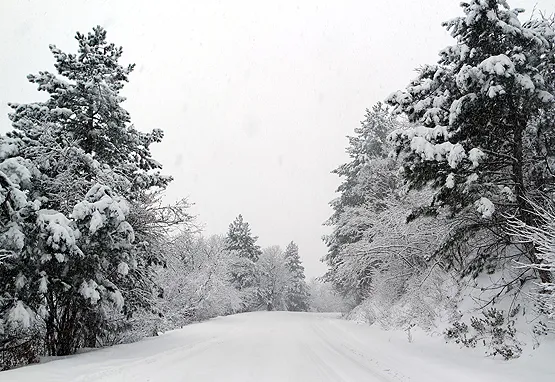 thy-son-dakika-istanbul-ucuslar-ne-zaman-baslayacak-25-ocak-istanbul-havalimani-ucak-seferleri-saat-kacta-acil-1643095511960.jpg THY son dakika: İstanbul uçuşlar ne zaman başlayacak? 25 Ocak İstanbul Havalimanı uçak seferleri saat kaçta açılacak? - 5