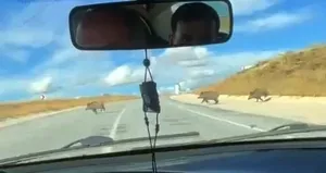 Taziyeye giderken hayrete düştüler! Aniden...