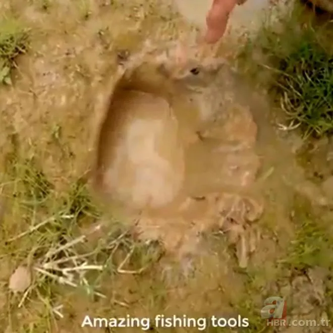 Afrika’daki balık avlama yöntemi herkesi şaşkına çevirdi! İşte ilginç balık avlama yolları