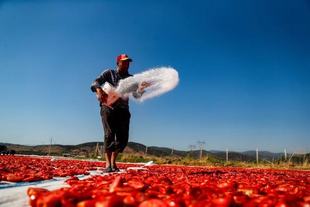 1-mayista-ne-oldu-anlami-nedir-emek-ve-dayanisma-gunu-ne-zaman-ortaya-cikti-isci-bayrami-tarihcesi-1682844815346.jpg 1 Mayıs'ta ne oldu, anlamı nedir? Emek ve Dayanışma Günü ne zaman ortaya çıktı? İşçi Bayramı tarihçesi... - 4