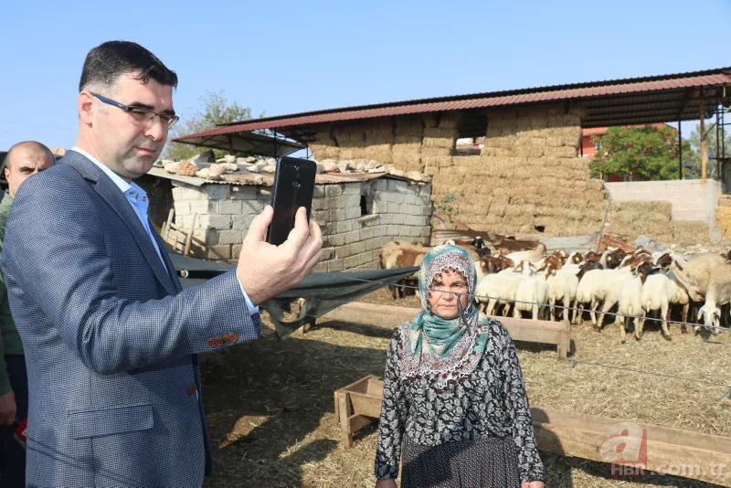 Adana'da koyunları çalınan Ayşe teyzenin gözyaşları dindi 9