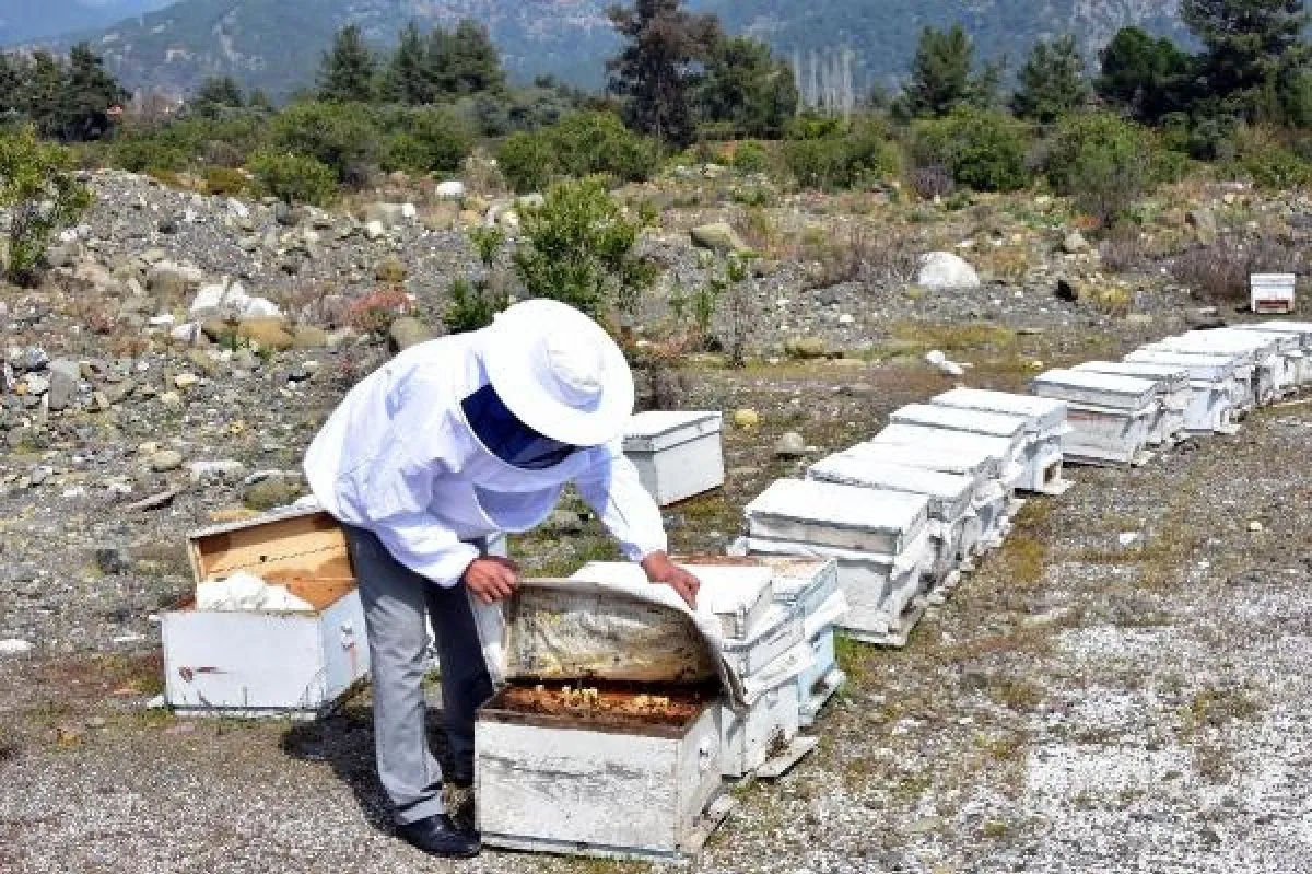 Coronavirus Sonrasi Yok Satiyor Kilosu 2 Bin Liradan Alici Buluyor