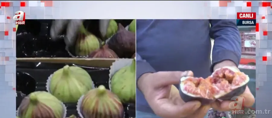 Tam bir şifa deposu! Dünyada sadece o ilimizde yetişiyor 2