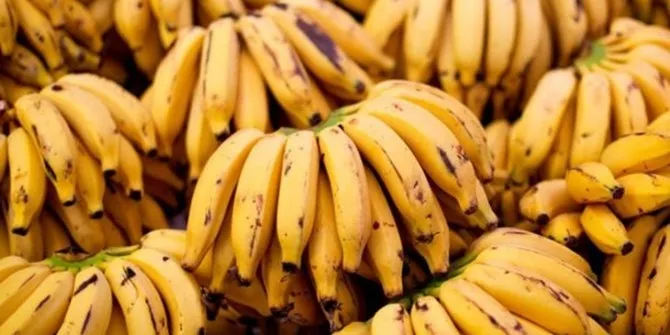 Son dakika: Yerli muzda tekel iddiası! Skandal ortaya çıktı: WhatsApp gruplarında karar veriyorlar