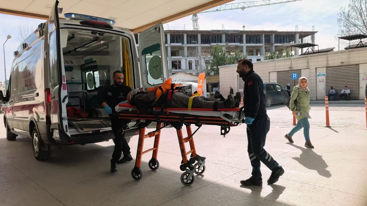 Ceviz ağacından düşen yaşlı adam ağır yaralandı