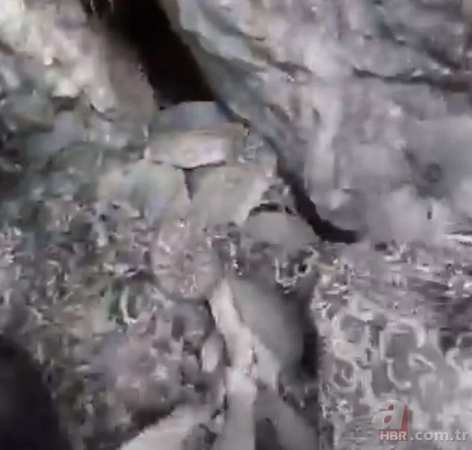 Anakonda ormanda insana saldırdı 🐍 Tam mağaraya götürürken... 14