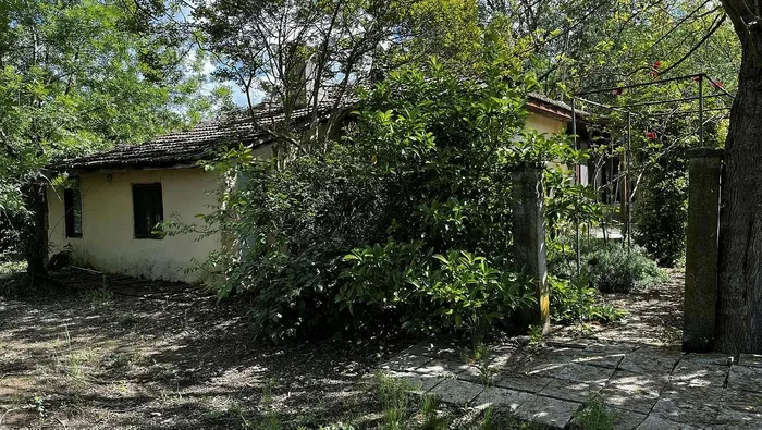 korhan-berzegin-olum-nedeni-belirlendi-mi-adli-tip-kurumundan-sok-rapor-1716030703451.jpeg Korhan Berzeg'in ölüm nedeni belirlendi mi? Adli Tıp Kurumu'ndan şok rapor - 4