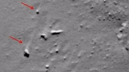NASA uzaydan paylaştığı İguana görüntüsüyle dünyayı şoke etti