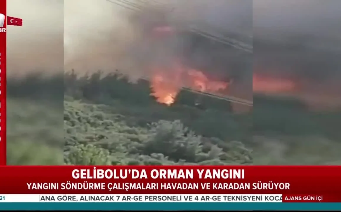 Gelibolu Da Korkutan Yangin Ahaber Video Izle
