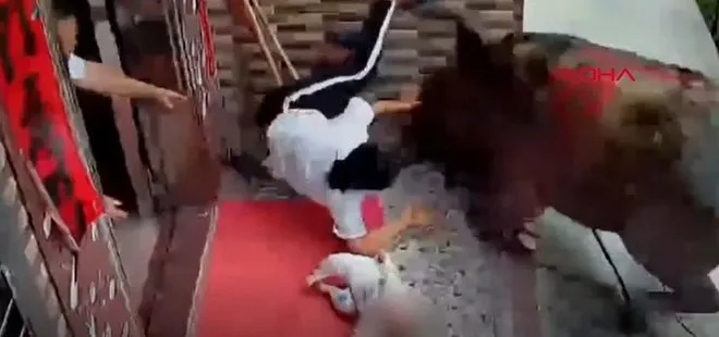 Çin’de bir anne ve bebeğine bufalo saldırdı | Video