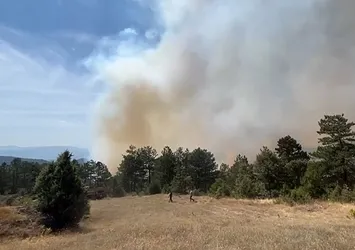 Bursa’da orman yangını! Ekiplerin canhıraş müdahalesi ile alevler kontrol altında