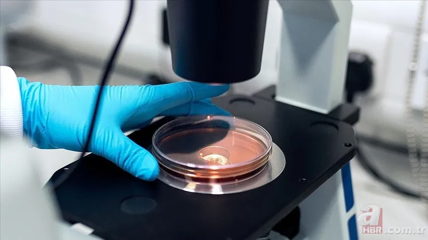 Gülümsemenizin arkasındaki bilim! Ağız bakterilerinin mutluluk üzerindeki etkisi ne? 5