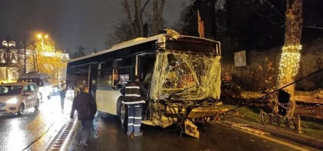 Beşiktaş’ta İETT otobüsü asırlık çınar ağacına çarptı