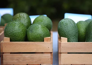 Avokadoyu israf ettirmeyen yöntem! Çürümesini önlüyor...