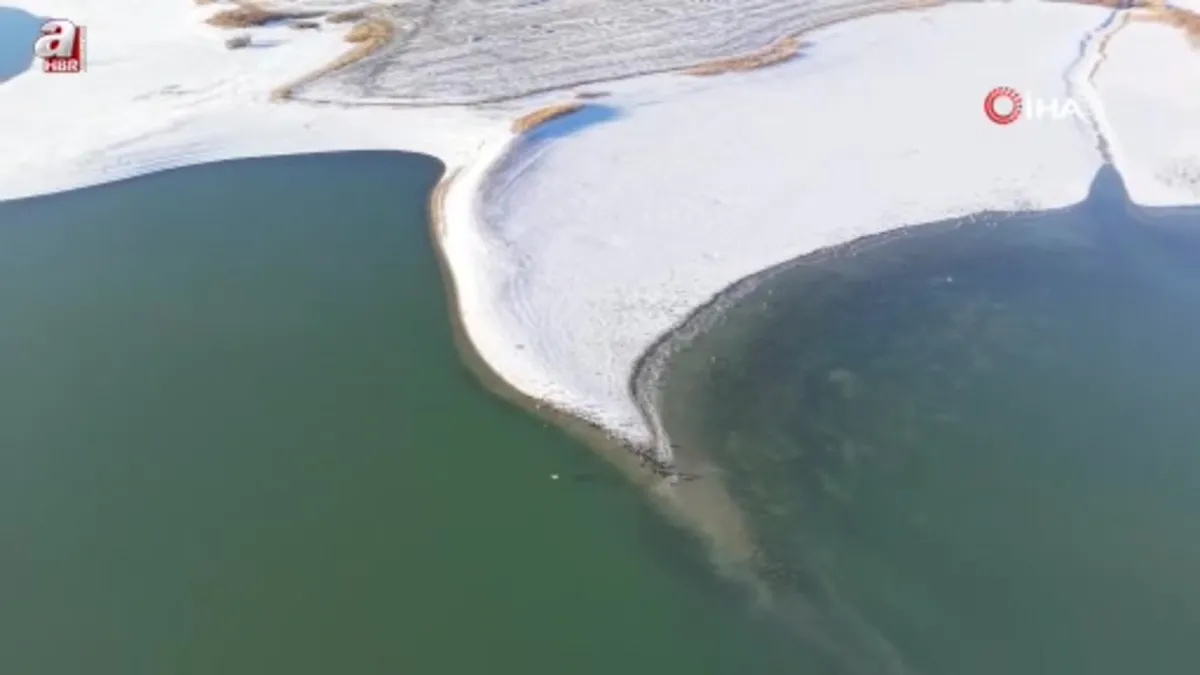 Elazığ'da soğuk havada doğanın sessiz misafirleri kara bataklar