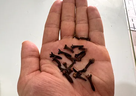 3 malzemeli babaanne tarifi! Geçmeyen öksürüğü anında kesiyor