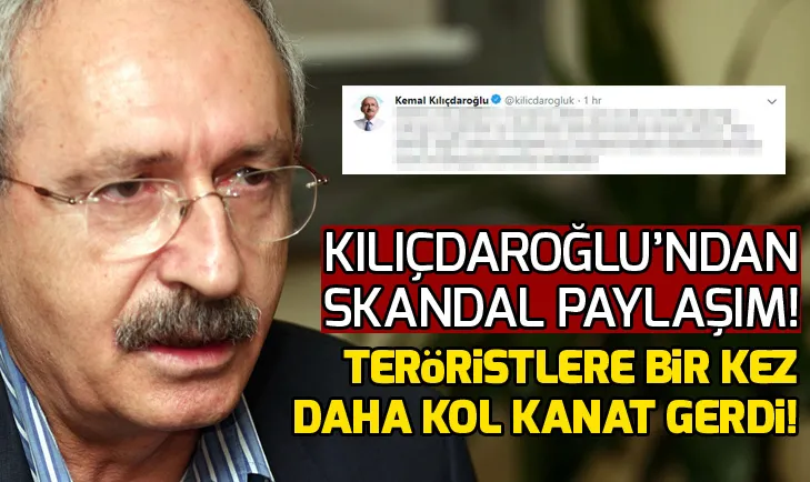 Kılıçdaroğlu bir kez daha teröristlere kol kanat gerdi!