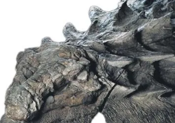 Dinozorların Mona Lisa’sı