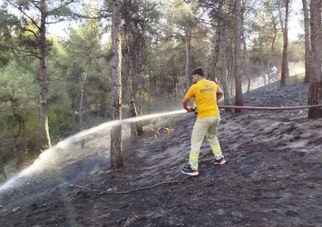 Sinop'ta çıkan orman yangını söndürüldü