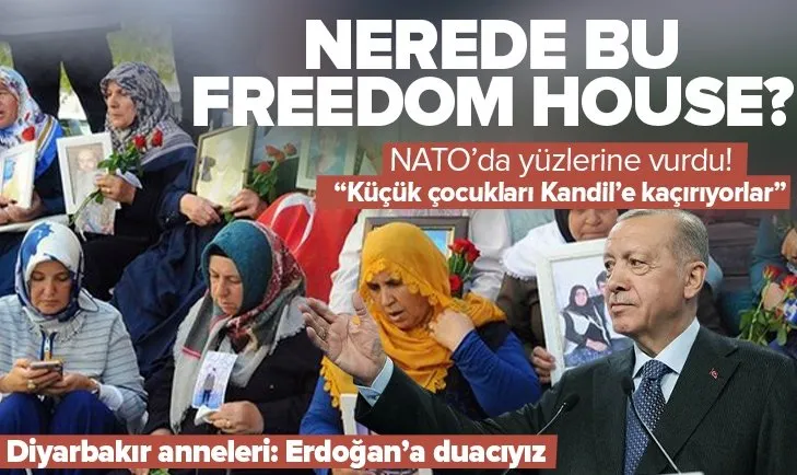Nerede bu Freedom House? Başkan Erdoğan NATO’da Diyarbakır Anneleri’ni unutmadı HDP’ye yüklendi