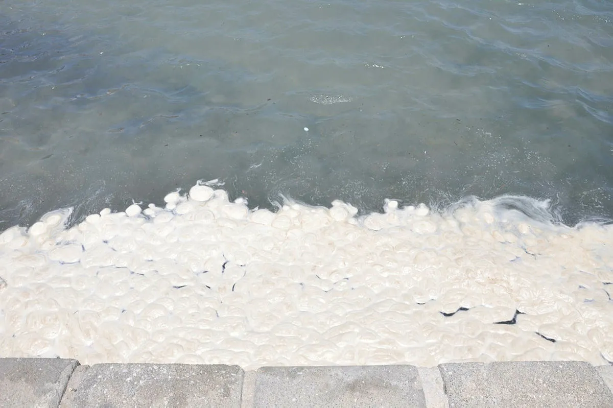 Muğla'daki Kumluk Plajı'ndaki görüntüler vatandaşları endişelendirdi! Kirliliğin kaynağı araştırılıyor