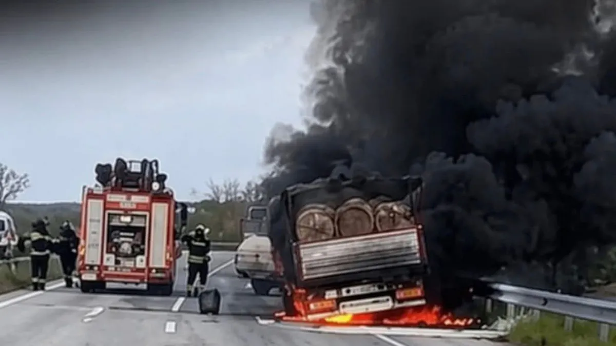 Samsun’da tomruk yüklü kamyon alev aldı
