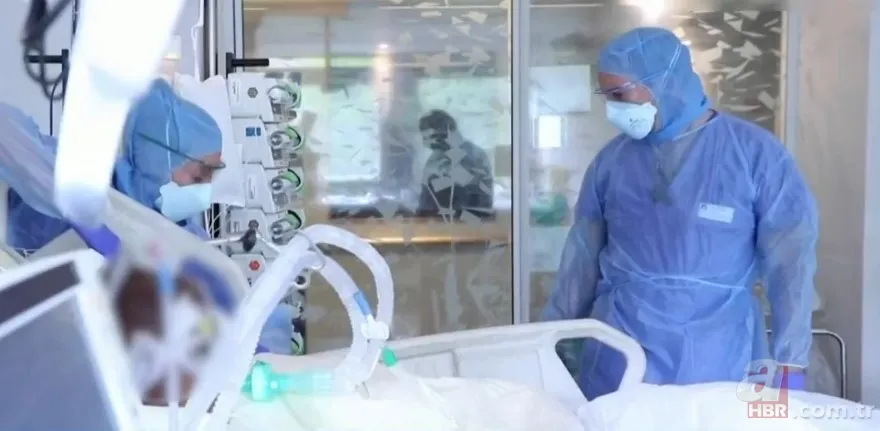 Covid-19'un mutasyon geçirip geçirmediği nasıl anlaşılıyor? Virüs neden mutasyon geçirdi? Mutasyon nedir? 7