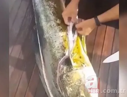 Yakaladığı balığın içinden bakın ne çıktı! Görenler gözlerine inanamadı