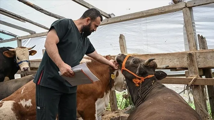 tarim-ve-orman-bakanligi-kurbanliklarin-tasinmasina-iliskin-kurallari-belirledi-1716277638943.jpeg Tarım ve Orman Bakanlığı kurbanlıkların taşınmasına ilişkin kuralları belirledi - 4