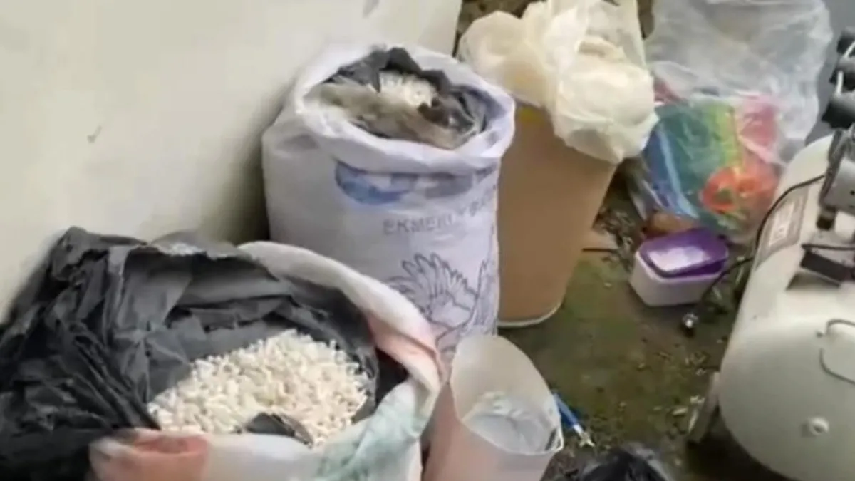 Edirne'de evini uyuşturucu imalathanesine çevirmiş: Operasyonda 117 kilo uyuşturucu ele geçirildi