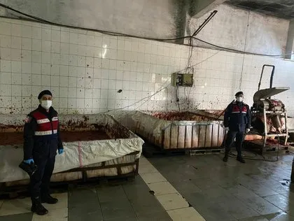 İzmir’de mide bulandıran görüntüler! İçeri giren jandarma ekipleri şaştı kaldı: Kaçak salça üretimi | Vatandaşa bunu yediriyorlar