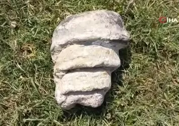 Yozgat'ta hayvan otlatırken fosil buldu