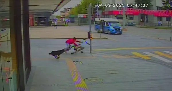 sakaryada-basibos-kopek-dehseti-panikle-kacarken-yayaya-carpti-1695130545705.jpg Sakarya'da başıboş köpek dehşeti! Panikle kaçarken yayaya çarptı - 3